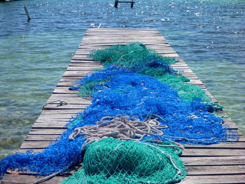 nets.jpg