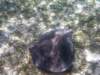 ray2_small.jpg