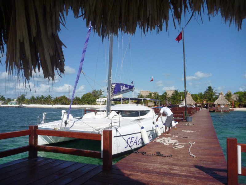 seaductiuon.jpg