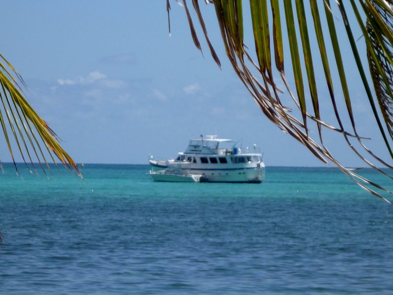 yatch.jpg
