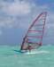 Windsurfer