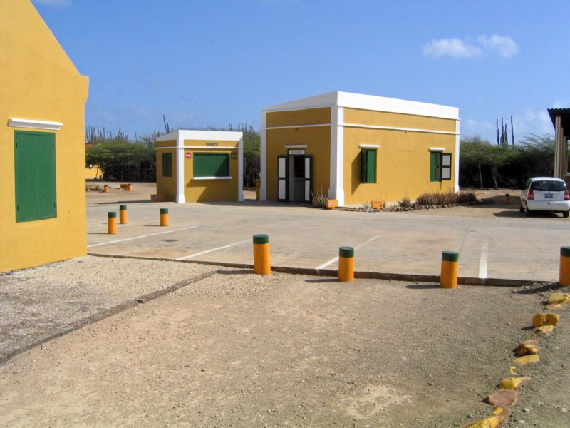 p010.jpg