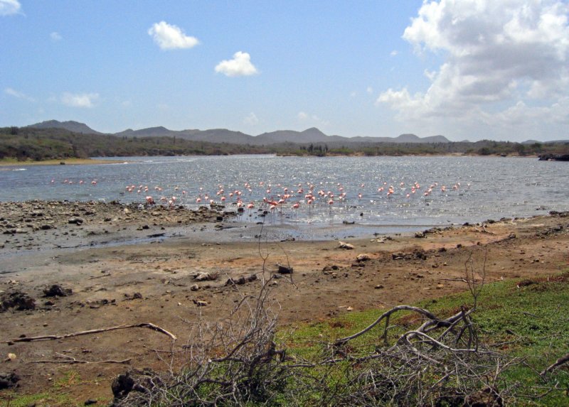 p140.jpg