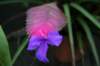 img_2461_small.jpg