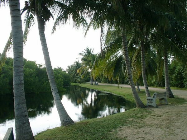 Botaniucal garden